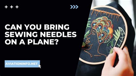 Can You Bring Embroidery Needles on a Plane? And Other Insightful Thoughts on the Topic